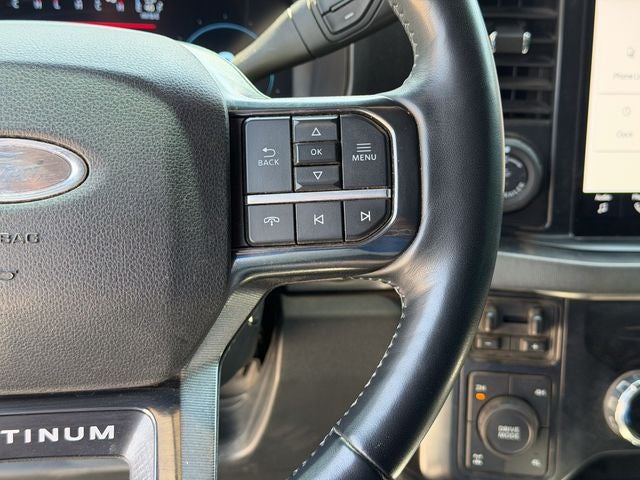 2025 Ford F-350SD Platinum