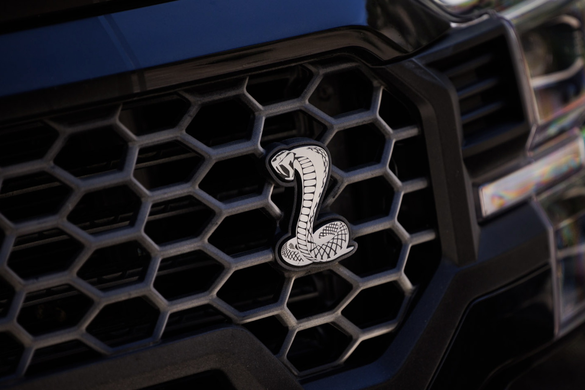 2025 Shelby F-150 Super Snake Sport