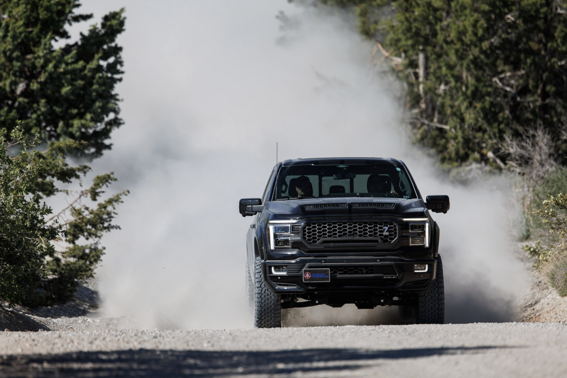 2025 Shelby F-150 Super Snake Sport