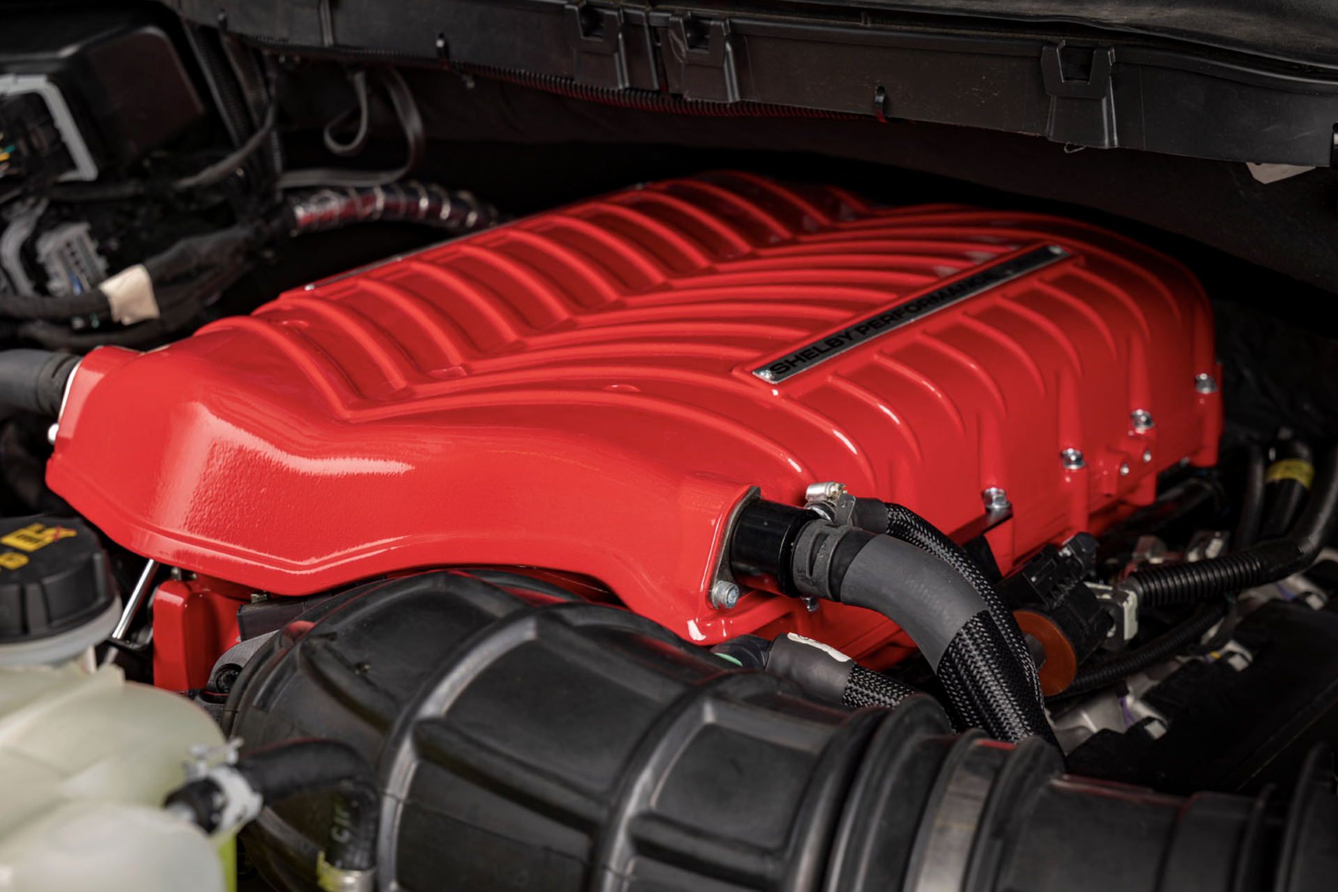 2025 Shelby Raptor at Ford of Boerne in Boerne TX