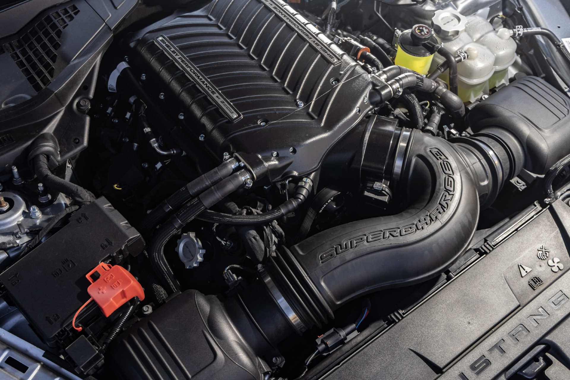 2026 Shelby Mustang Super Snake at Ford of Boerne in Boerne TX