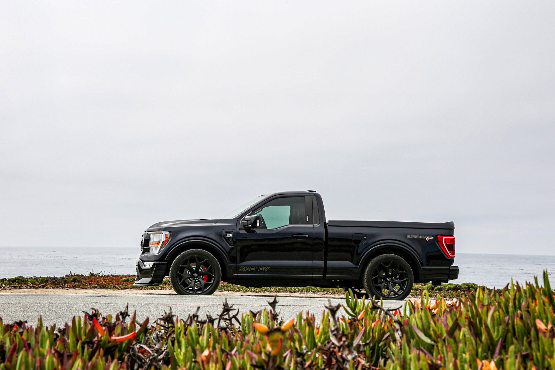 2023 Shelby F-150 Super Snake Sport Ford of Boerne in Boerne TX