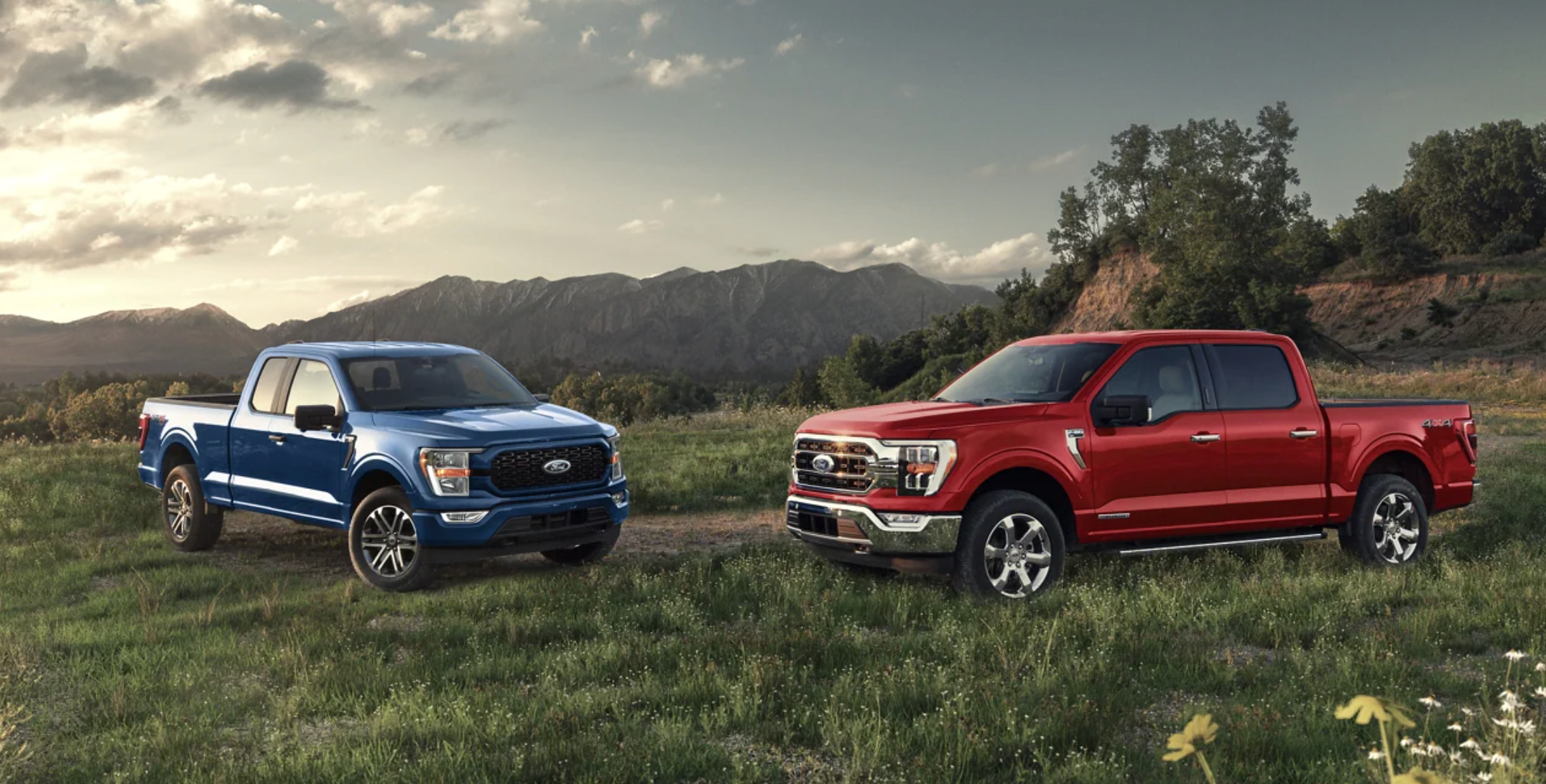 Pre-Order Purchase at Ford of Boerne